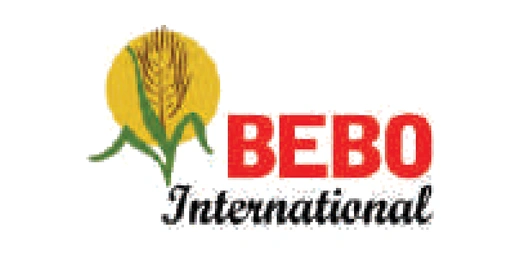 Bebo International logo